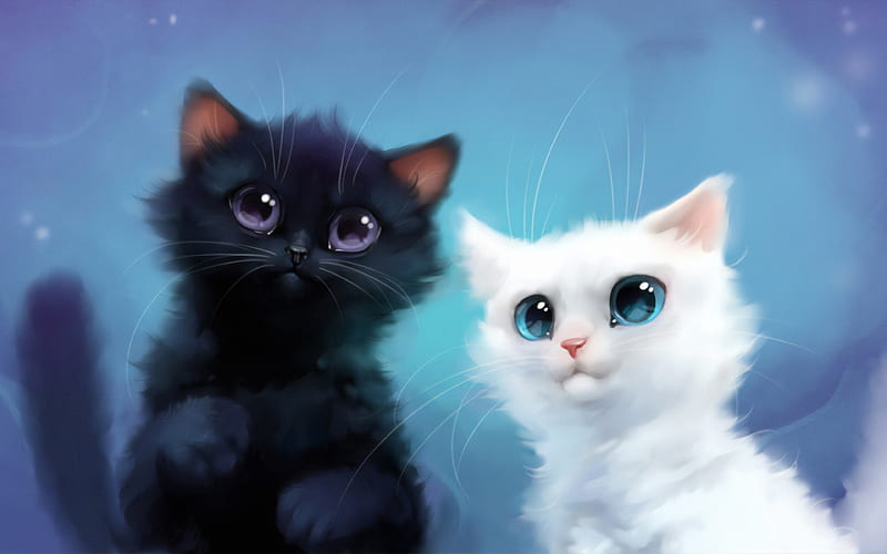Black and white cats cute animals, 3D art, yin and yang, cartoon cats, white  cat, HD wallpaper | Peakpx
