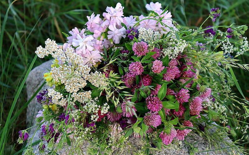 Bouquet of Meadow Flowers, wild, clover, bouquet, flowers, meadow, rock, HD wallpaper