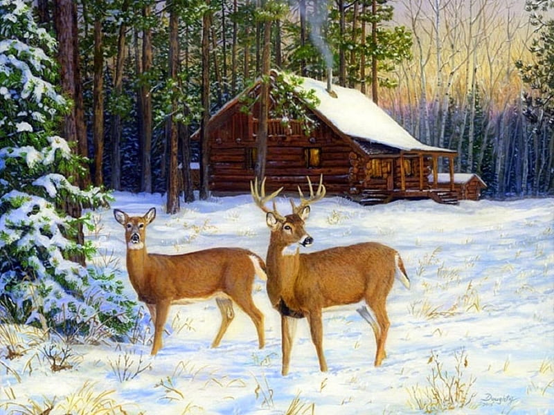 Winter Shack, cottages, holidays, shack, love four seasons, attractions in dreams, xmas and new year, deer, winter, paintings, snow, HD wallpaper