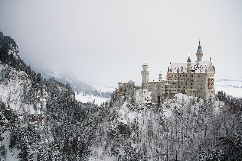 Castles, Neuschwanstein Castle, Architecture, Castle, Fir Tree, Fog, Germany, Winter, HD wallpaper