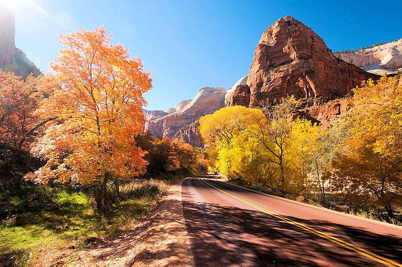 Zion National Park, Utah, fall, autumn, usa, colors, sunshine, trees, road, sky, HD wallpaper