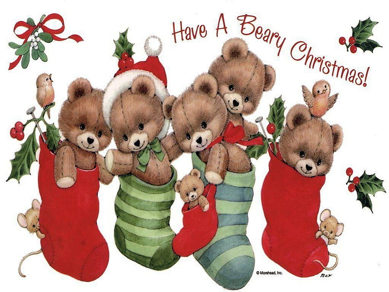 HAVE A BEARY CHRISTMAS, cute, stockings, christmas, holiday, bears, HD wallpaper
