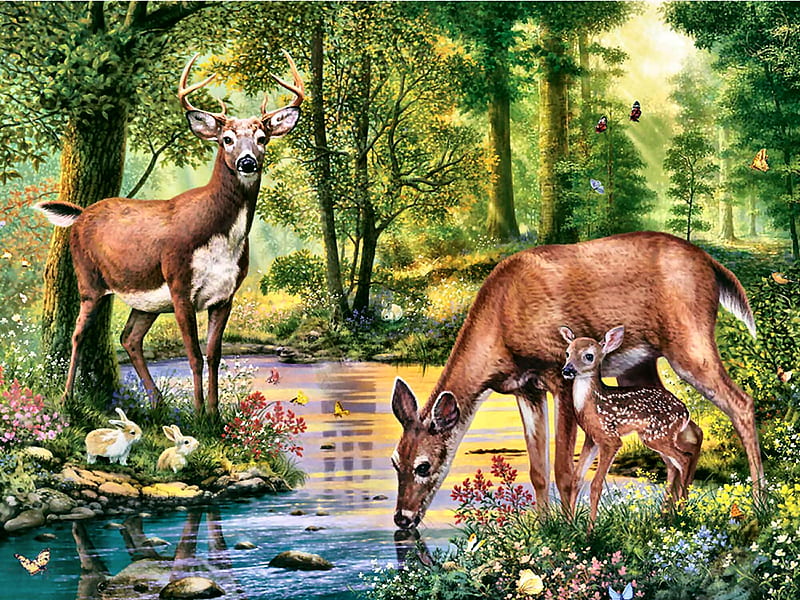 Peaceful Dawn - Deer F, art, fawn, buck, bonito, illustration, artwork, deer, animal, doe, water, painting, wide screen, wildlife, nature, HD wallpaper