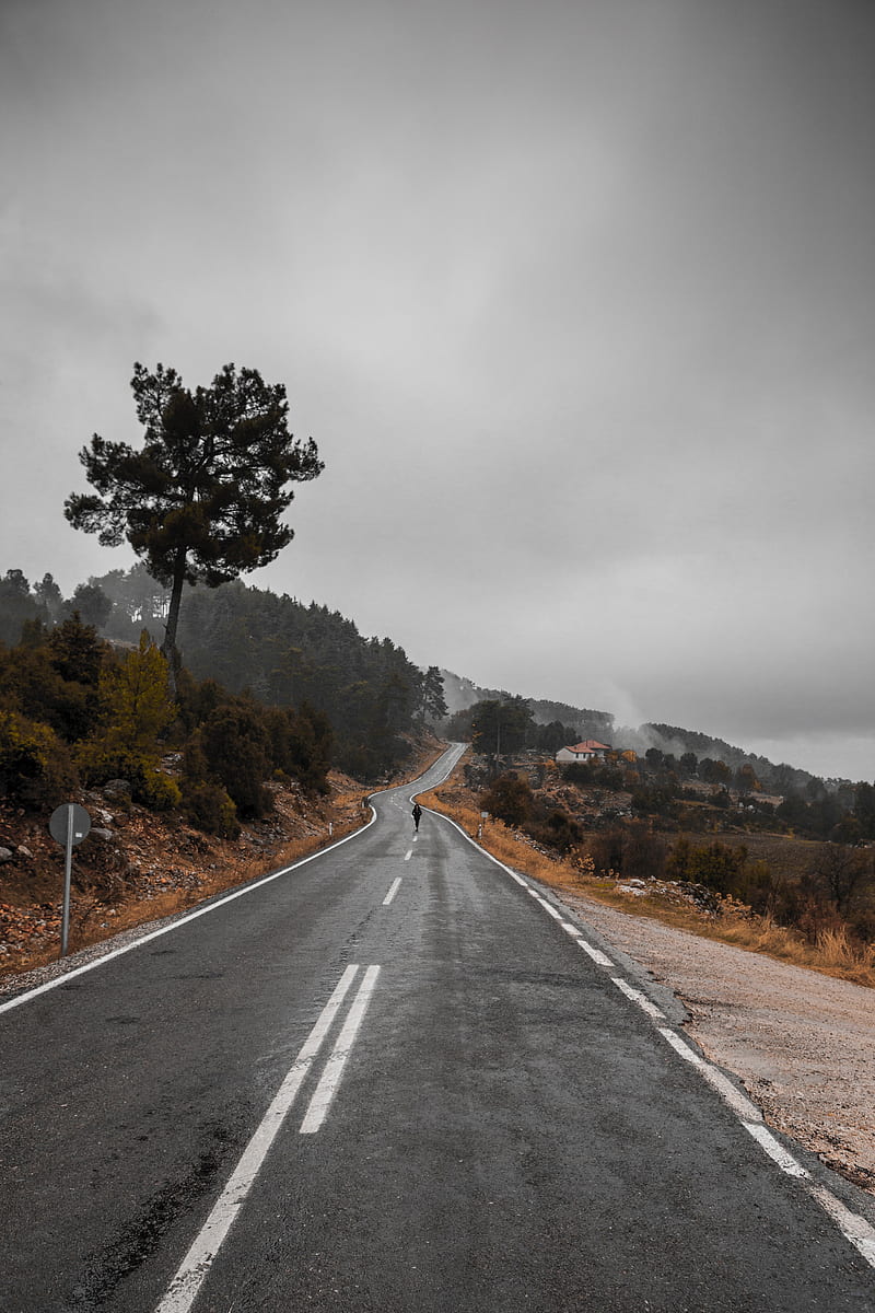 road, fog, silhouette, loneliness, tree, HD phone wallpaper