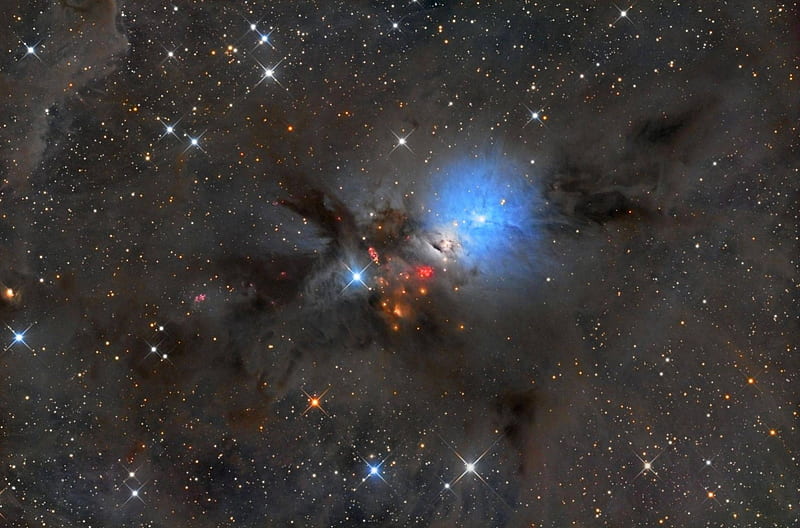 NGC 1333 Stellar Nursery in Perseus, stars, cool, space, fun, galaxy, HD wallpaper