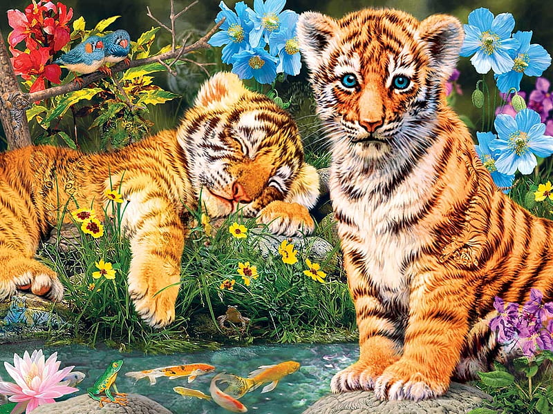 Under the Wathcful Eye, baby, watchful, tigers, puzle, birds, eyes, HD wallpaper