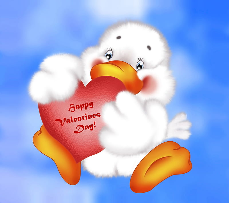 Feliz día de san valentín, dibujos animados, pato, corazón, amor, cielo,  Fondo de pantalla HD | Peakpx