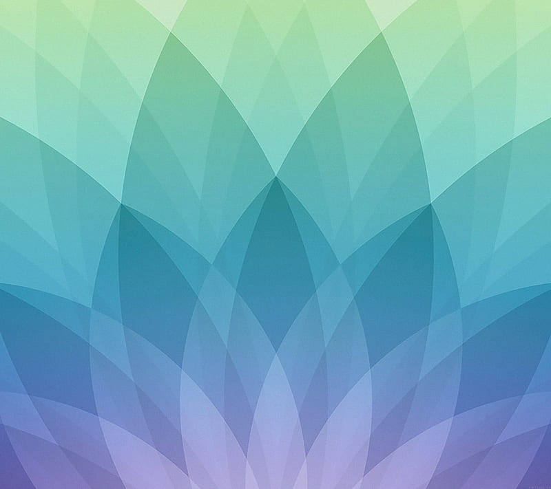 Lotus apple event, abstract, color, HD wallpaper