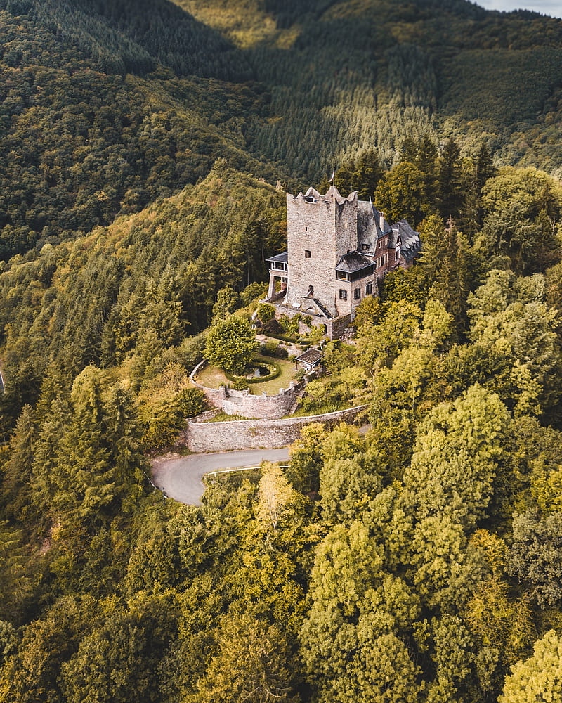 castle, forest, aerial view, building, old, HD phone wallpaper