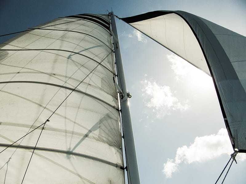 white sail boat, HD wallpaper