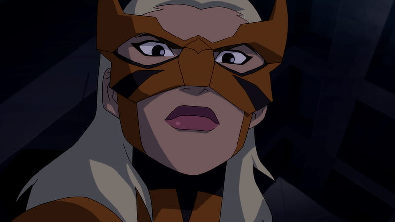 TV Show, Young Justice, Artemis Crock , Tigress (DC Comics), HD wallpaper