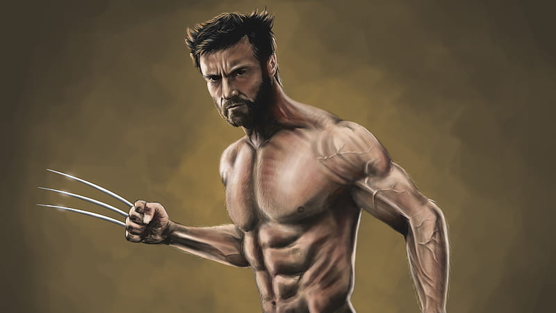 Wolverine , wolverine, superheroes, artwork, HD wallpaper