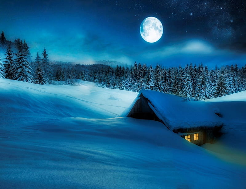 Winter scene, moon, snow, night, winter, HD wallpaper