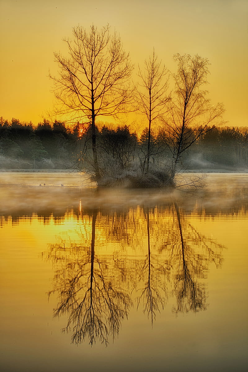 lake, trees, fog, dusk, nature, HD phone wallpaper