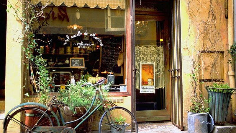 bicycle in front of a french restaurant, bike, window, restaurant, plants, HD wallpaper