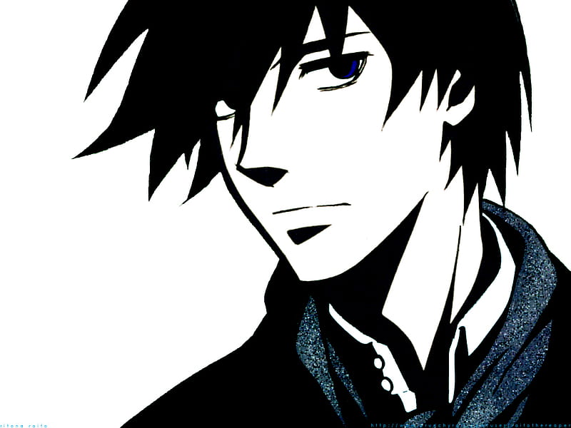 Male character illustration, anime, Darker than Black, Hei HD wallpaper