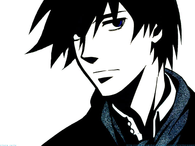 HD wallpaper: manga darker than black hei