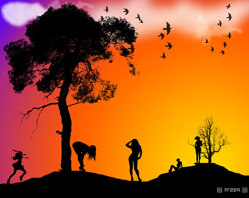 Sunset Silouette, fantasy, colourful, sunset, silhouette, vector, HD wallpaper