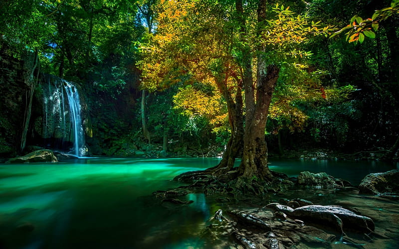 Morning Calm On The Falls, Thailand, National Park, yellow leaves, bonito, trees, foliage, lagoon, roots, green, Erawan waterfalls, tropical, HD wallpaper