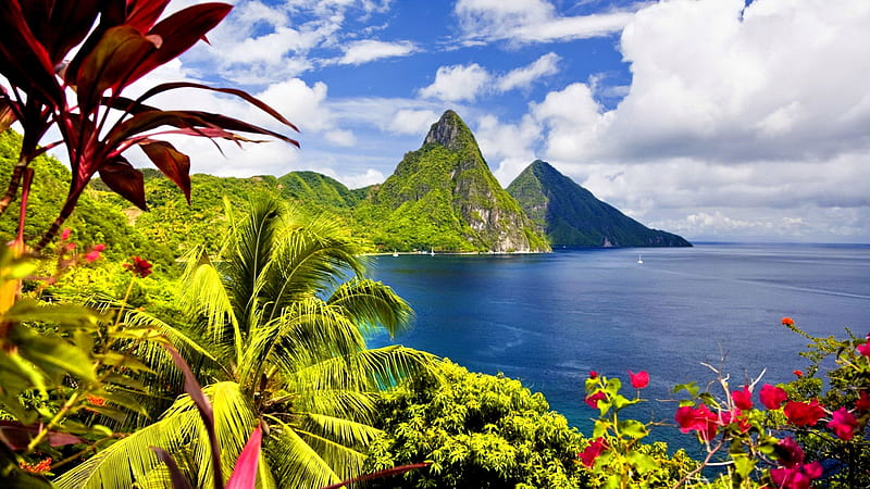 MOUNTAIN PEAKS from CARIBBEAN ISLAND, mountain, paradise, ocean, peak, flowers, nature, caribbean, sea, HD wallpaper