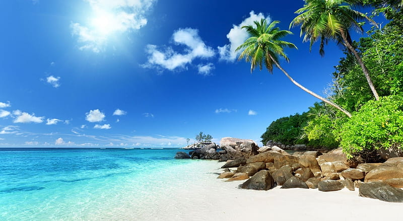 Paradise beach, holiday, seashore, nature, tropical, landscape, scene, sea, beach, summer, HD wallpaper
