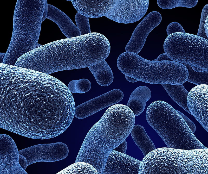 Bacteria Macro, nature, HD wallpaper