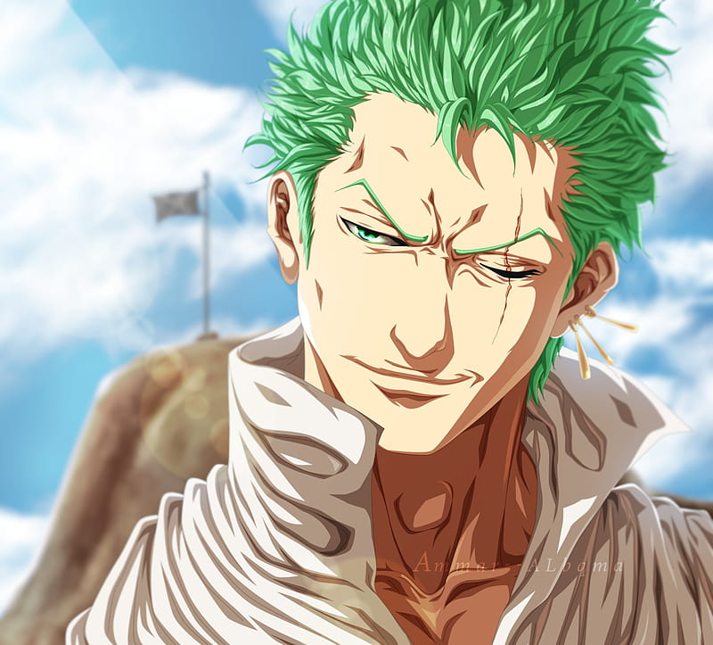 Roronoa Zoro - Resolution:, Zoro Smile, HD wallpaper