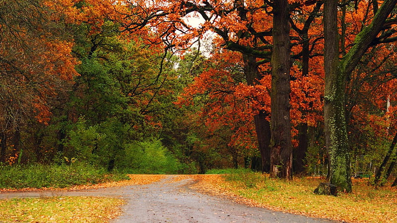 North Carolina Autumn, north carolina fall, norht carolina landscape, scenic north carolina, north carolina, HD wallpaper