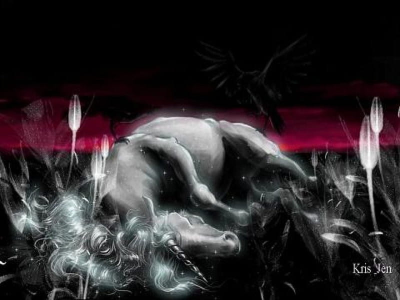 Dead unicorn, death, sadness, unicorn, black, horse, abstract, storm, goth, fantasy, darkness dark, tears, dream, HD wallpaper