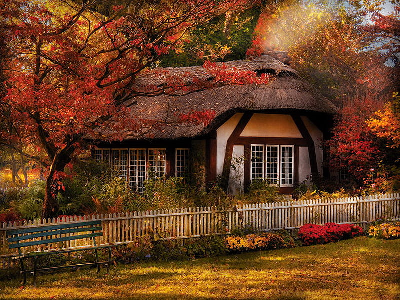 Cottage, rustic, autumn, house, small, yard, HD wallpaper