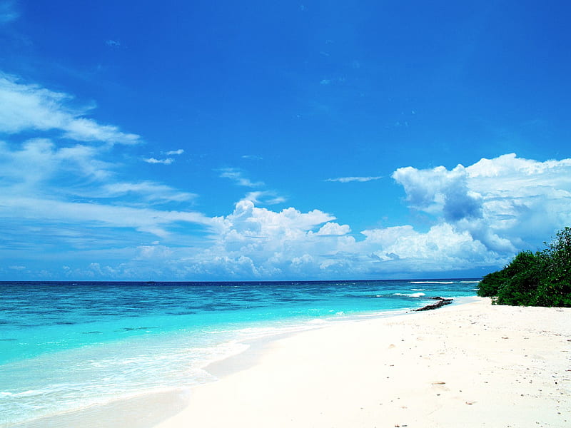 Maldives beach summer, HD wallpaper