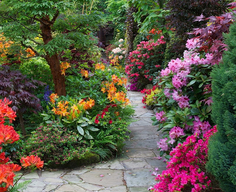 Garden Path, lovely, flowers, path, colors, garden, bonito, spring, HD wallpaper