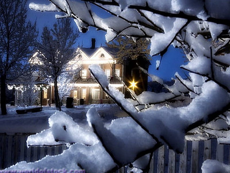 Winter boughs, house, snow, trees, branches, lights, HD wallpaper