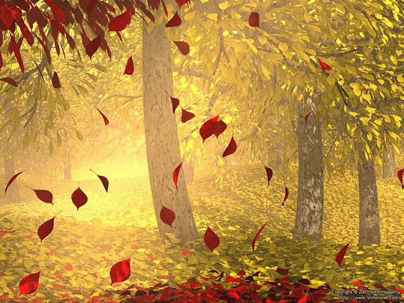 Autumn Leaves, colorful, fall, autumn, leaves, 3d art, fall-offs, abstract,  HD wallpaper | Peakpx