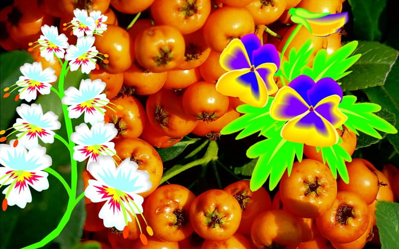 Wild Berrys, vector art, flowers, enhanced, berries, HD wallpaper