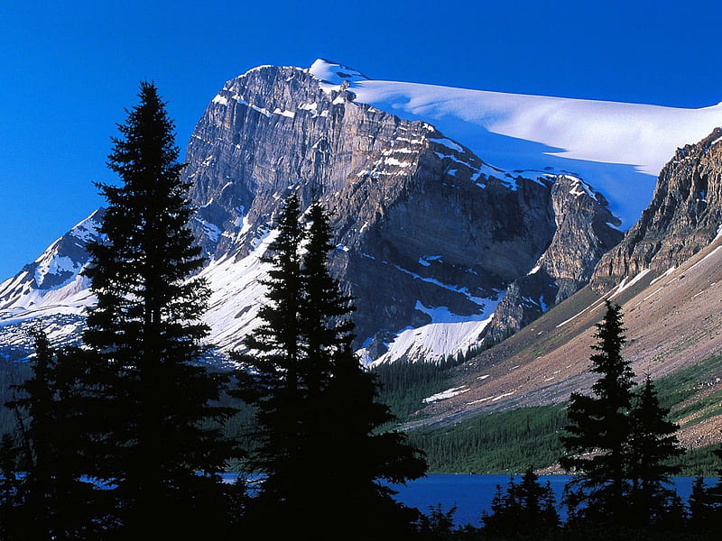 Mountain Peak, Canada, amazing, fresh, trees, sky, mountain, cool, big, good, beauty, frost, HD wallpaper