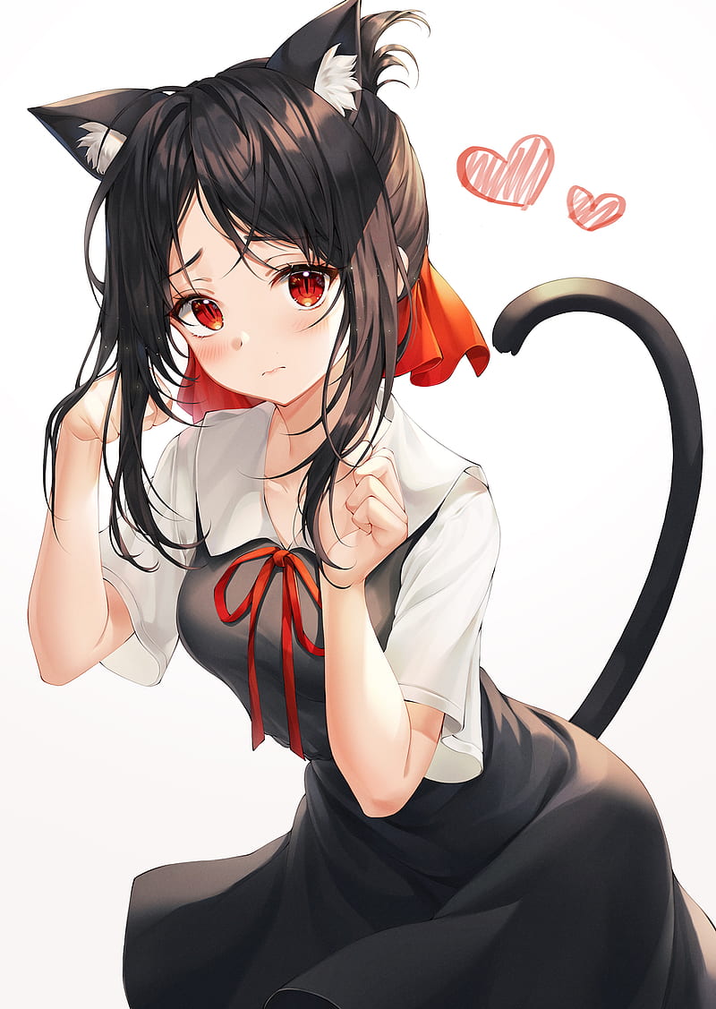 Mellozzo, anime girls, Kaguya-Sama: Love is War, Kaguya Shinomiya, tail, red eyes, animal ears, cat girl, black hair, school uniform, HD phone wallpaper