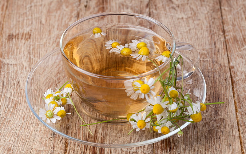 tea with chamomile, flower tea, drinks, glass cup, HD wallpaper