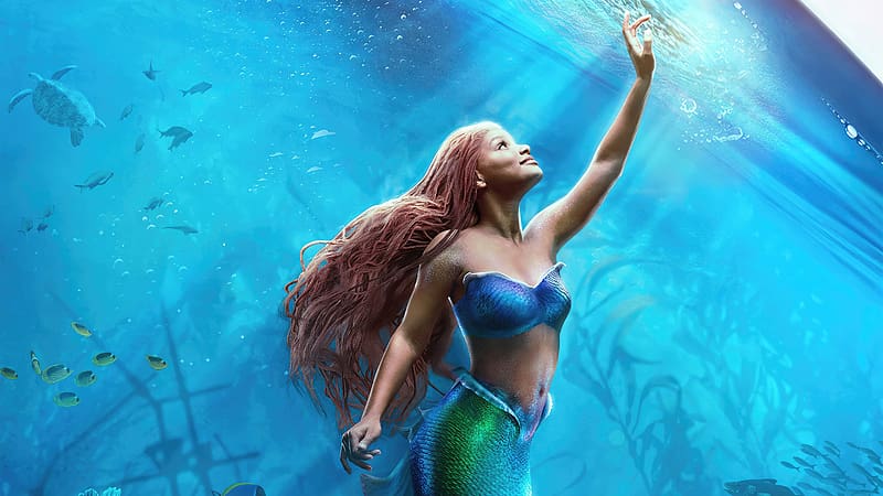 Ariel The Little Mermaid Movie, halle-bailey, the-little-mermaid-2023, the-little-mermaid, 2023-movies, animated-movies, ariel, mermaid, HD wallpaper