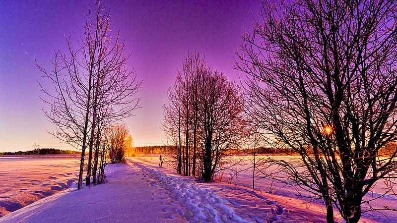 Last Sunrays, winter, snow, purple, sunset, trees, sky, road, HD wallpaper