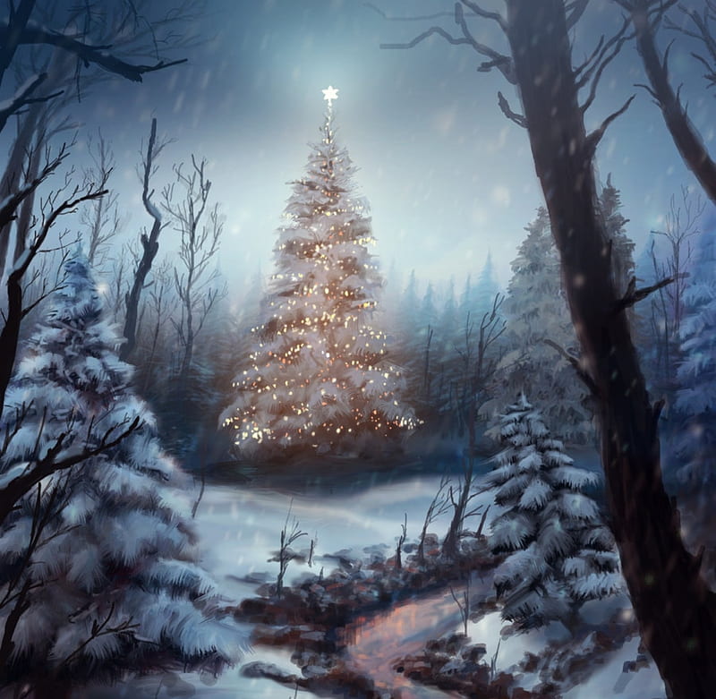 O CHRISTMAS TREE, LIGHTS, WINTER, CHRISTMAS, TREE, FOREST, HD wallpaper ...