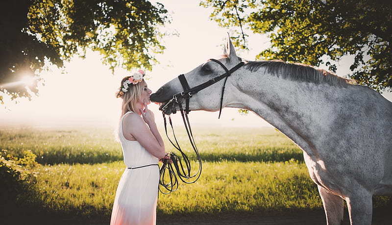 A Kiss For The Cowgirl, dress, cowgirl, blonde, horse, kiss, crown, flowers, branches, field, bridle, HD wallpaper