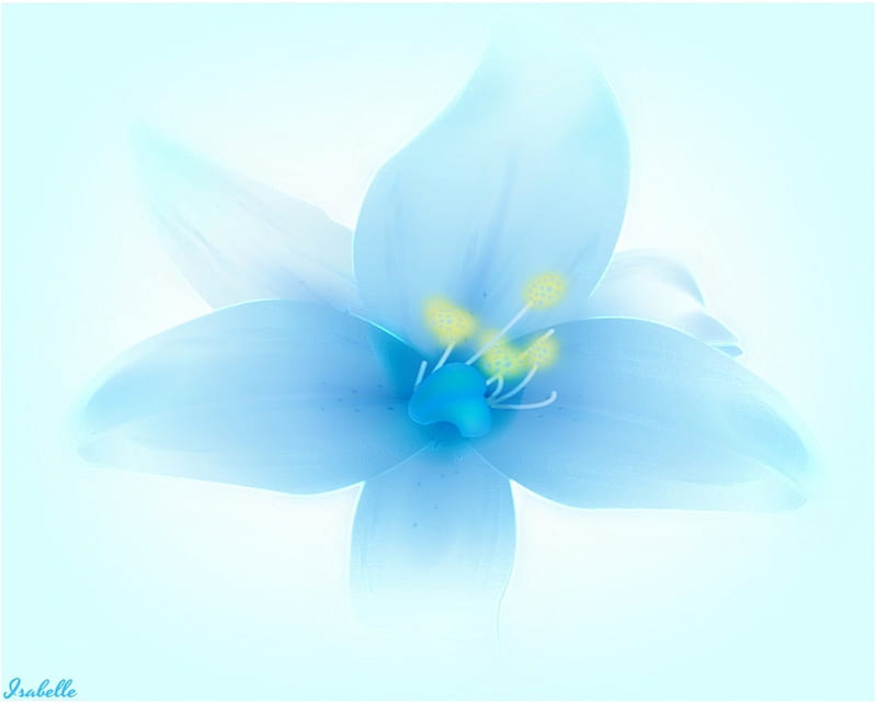 Blue Flower, manipulation, Light, Color, Lovely, bonito, Soft, Blue, Flower,  HD wallpaper | Peakpx