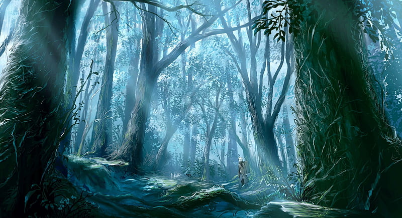 Walk Through, forest, anime, woods, through, flood, nature, walk, trees, HD wallpaper