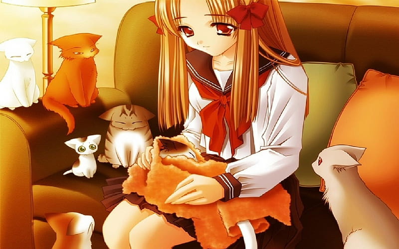 Anime Girl - Lots Of Cats, towel, bows, cats, girl, HD wallpaper