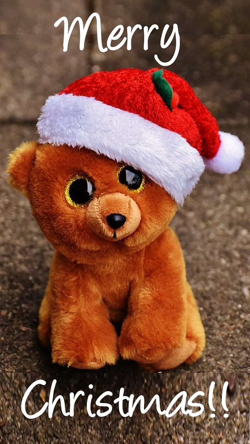 BearMerryChristmas, christmas bear, christmas, bear, merry christmas, red santa hat, stuffed bear, HD phone wallpaper