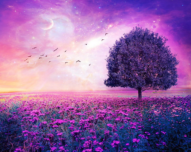 Purple Nature, birds, field, flowers, landscape, moon, sky, space, trees, HD wallpaper