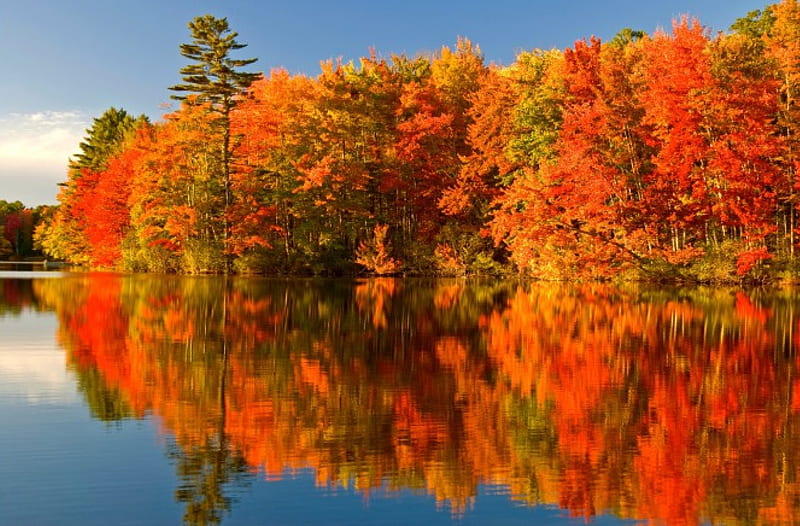 Autumn Colours, Algonquin Park, Ontario, leaves, water, colors, reflection, trees, lake, HD wallpaper