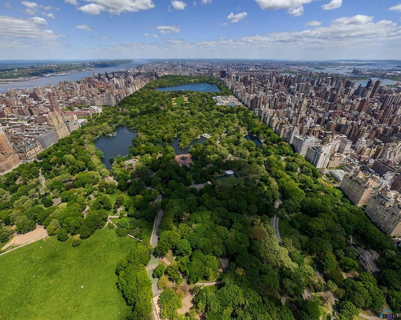 Panoramic view of Central park, york, new, park, central, HD wallpaper