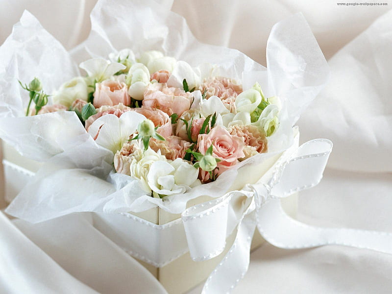 roses gift for you - hope it*s not a duplicate, decoration, giftbox, bonito, greens, roses, white, pink, HD wallpaper